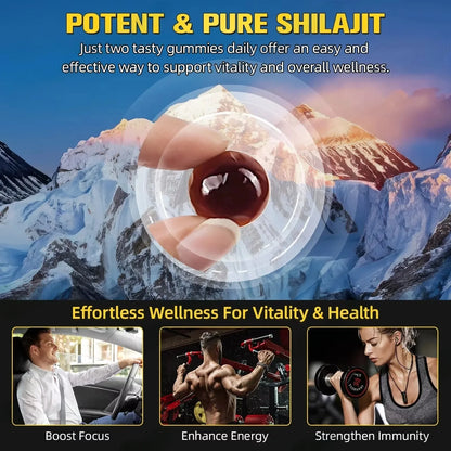 Himalayan Shilajit Gold Gummies